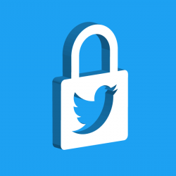 Twitter logo inside a lock icon, against a blue background.