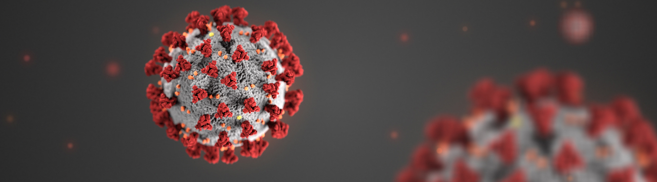 3D illustration of the novel coronavirus