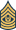 Army-USA-OR-09b.svg