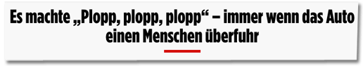 Screenshot Bild.de - Es machte plopp, plopp, plopp - immer wenn das Auto einen Menschen überfuhr