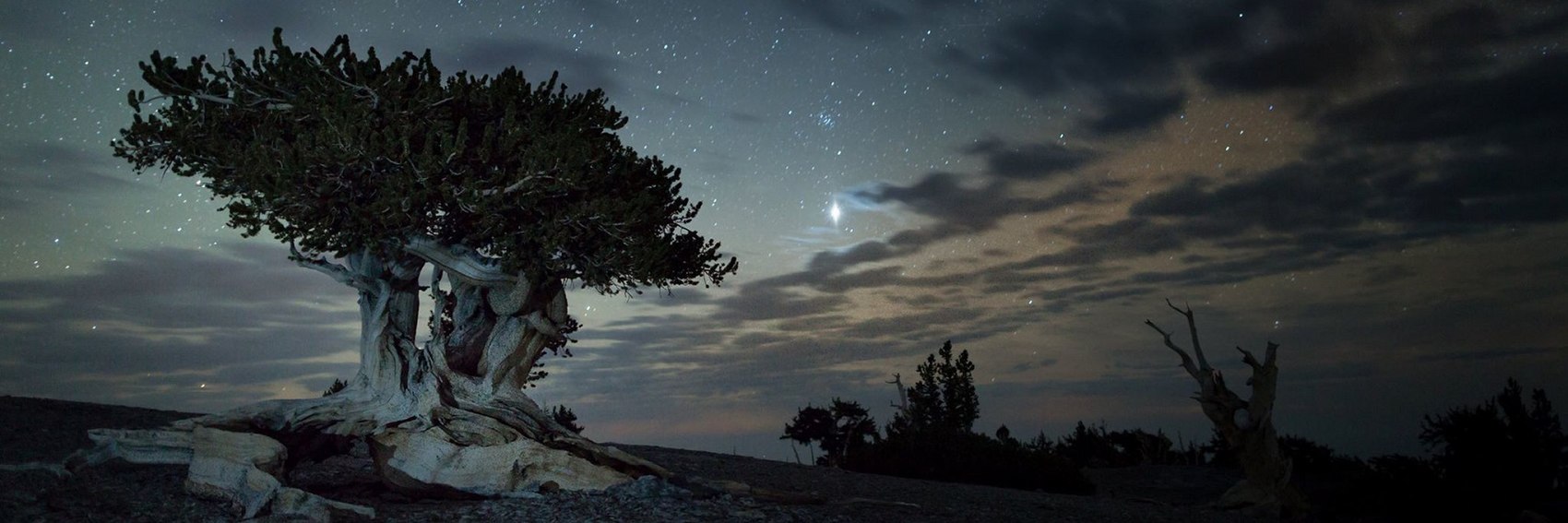 Great Basin National Park