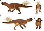 A Psittacosaurus rekonstrukciója