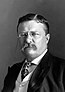 President Roosevelt - Pach Bros.jpg