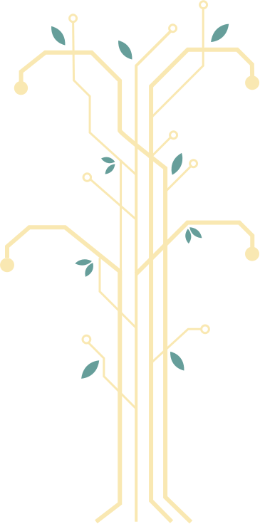 Omidyar Circuitry Tree