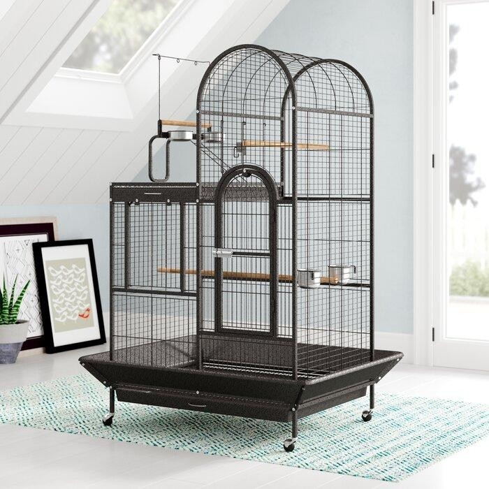 How To Choose A Bird Cage