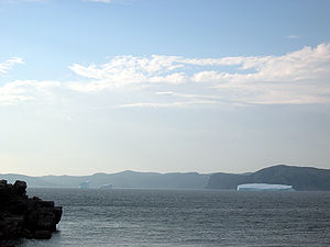 Icebergs Newfoundland.jpg