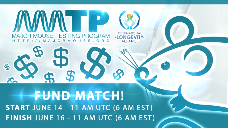 MMTP_Project1__Update_MatchingFunds