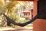 Reasons to travel image Hammock and palm trees.jpg