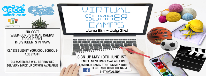 Virtual Summer Camps