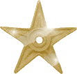 Gold barnstar 2.png