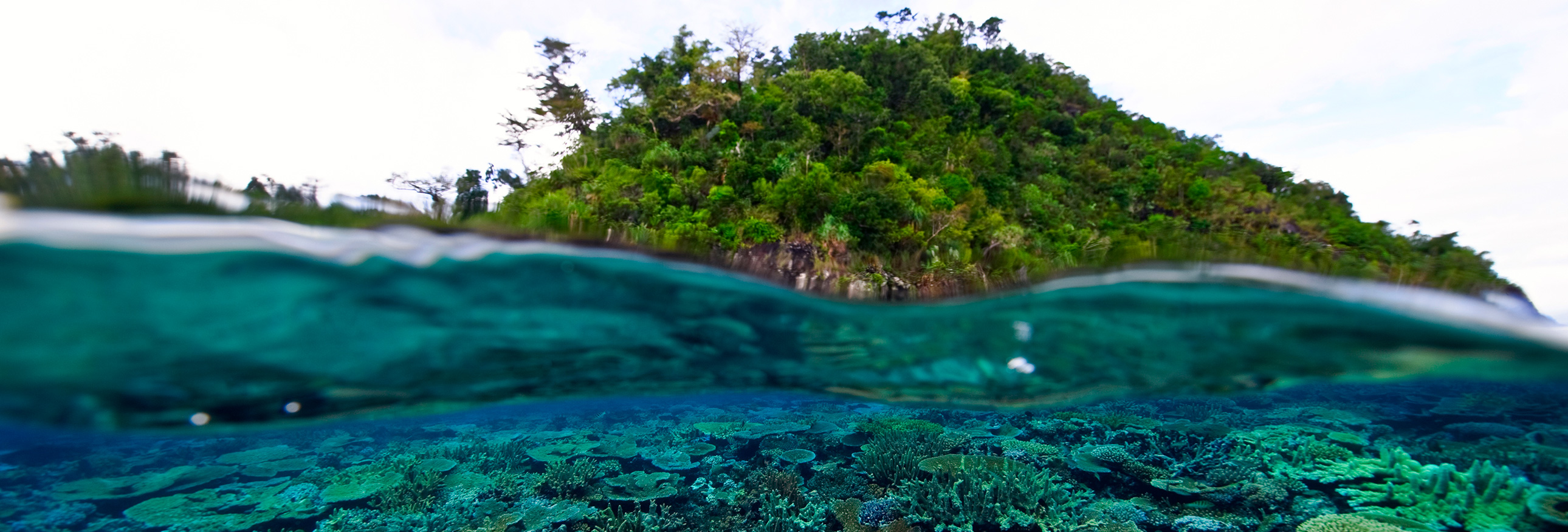 view of an island from sea level