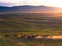 Big Sky Country: Local photographers share their favorite Montana photo spots