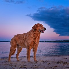 Katie at the River