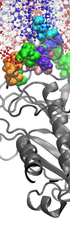 PLD2–PI(4,5)P2 interactions in fluid phase membranes: Structural modeling and molecular dynamics simulations