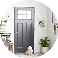 White entryway with a small white dog