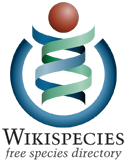 Wikispecies