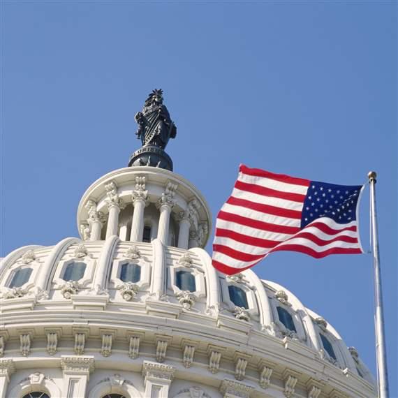 U.S. Capitol Dome