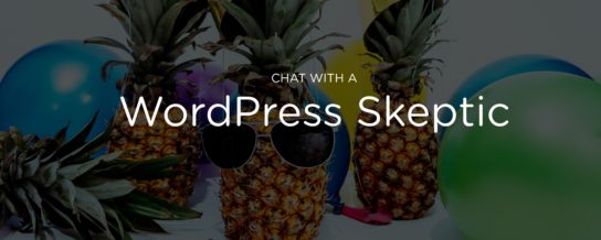 Chat with a WordPress skeptic