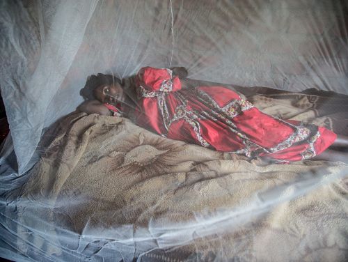 Photo for: New animated film outlines the threat of malaria in pregnancy – and how to combat it