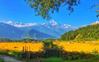 पुरनचौर फाँटबाट देखिएको माछापुच्छ्रे अन्नपूर्ण लगायतका हिमाल। तस्बीर : श्रीधर पौडेल।