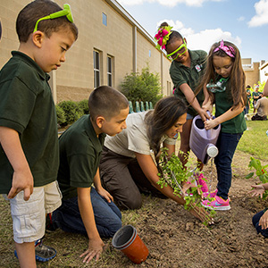 South Texas School yard Habitiat TANDEM USFWS