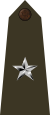 Brigadier general