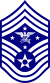 USAF SEAC.svg