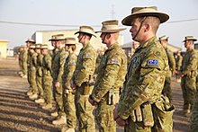 Colour photograph of people wearing military uniforms standing in lines during a formal parade