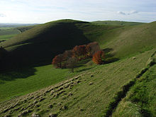 Knap Hill - geograph.org.uk - 282649.jpg