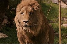 Aslan2005.jpg