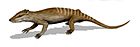 Yanoconodon allini