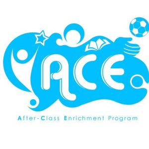 ACE logo