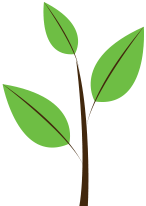 A small seedling tree