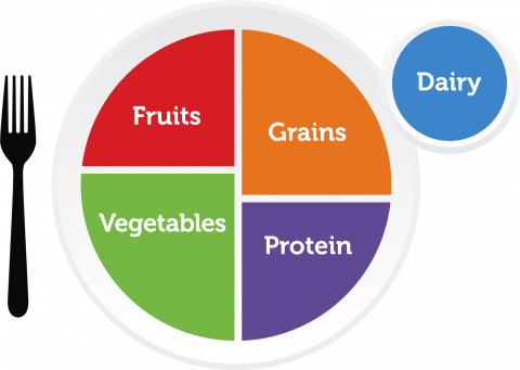 my plate graphic