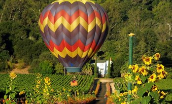 Experience our Thrilling Napa Hot-Air Balloon Ride over California ...