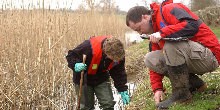 Ecologists checking the canal bank