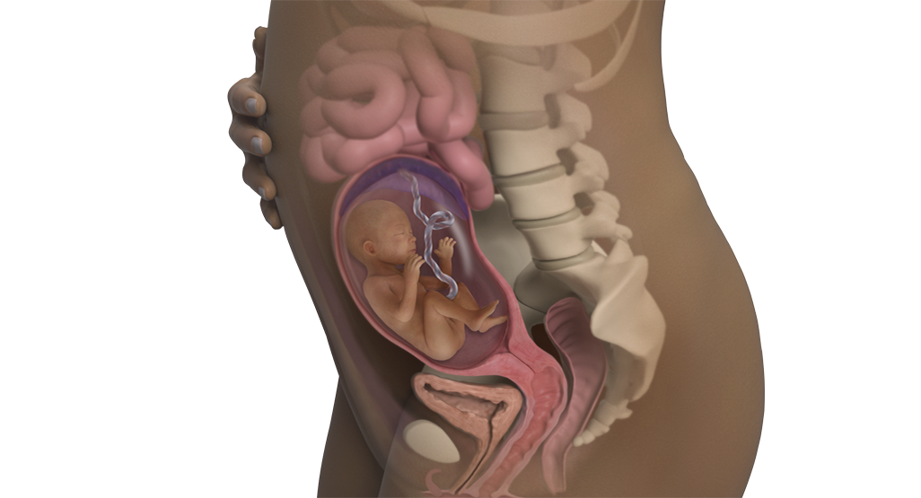 Image of a woman and her baby at 22 weeks of pregnancy.