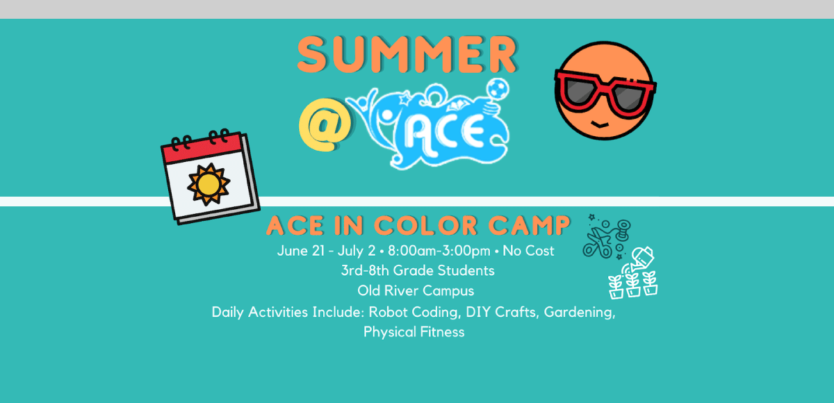 ACE in color camp