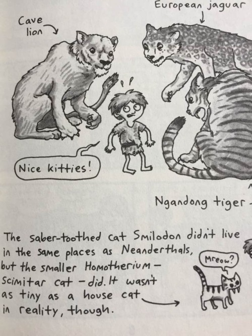 A hilarious graphic novel series about two young cave kids living 40,000 years ago
Lucy & Andy Neanderthal
by Jeffrey Brown
Crown Books for Young Readers
2016, 224 pages, 6.6 x 0.8 x 8.6 inches, Hardcover
$8 Buy on Amazon
Lucy & Andy are two...