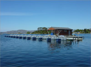 UiB Mesocosm Centre (University of Bergen Mesocosm Centre)