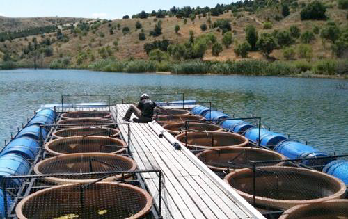 METU Mesocosm System