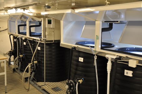 Mesocosm Facility at Umeå Marine Sciences Center (MF-UMSC)