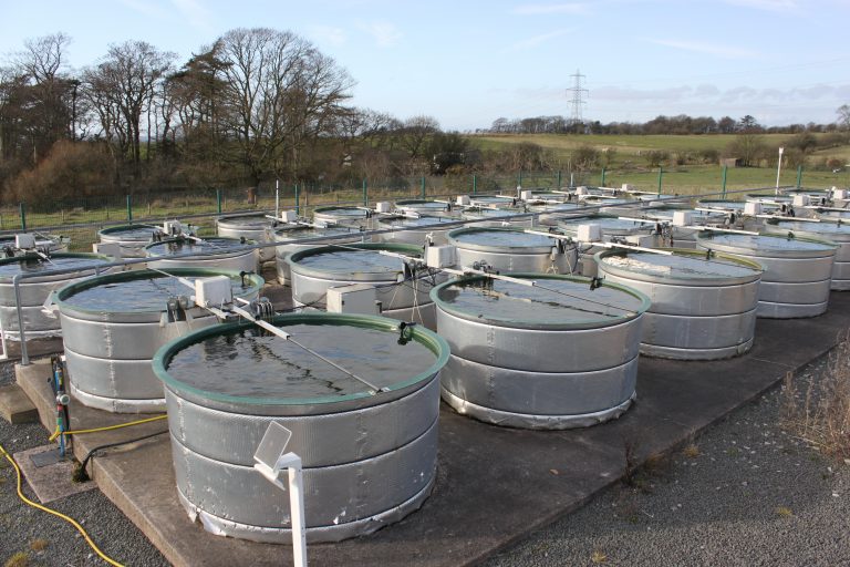 CEH Aquatic Mesocosm Facility (CAMF)