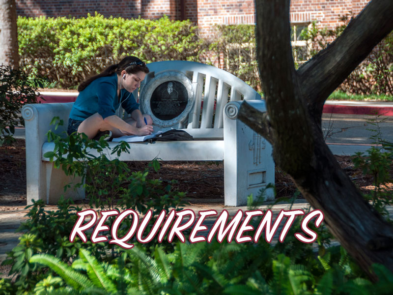 Requirements