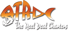 reel deal fishing charters