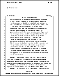 FL SB 138 - Perinatal Mental Health