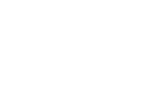 The North American Council on Adoptable Children