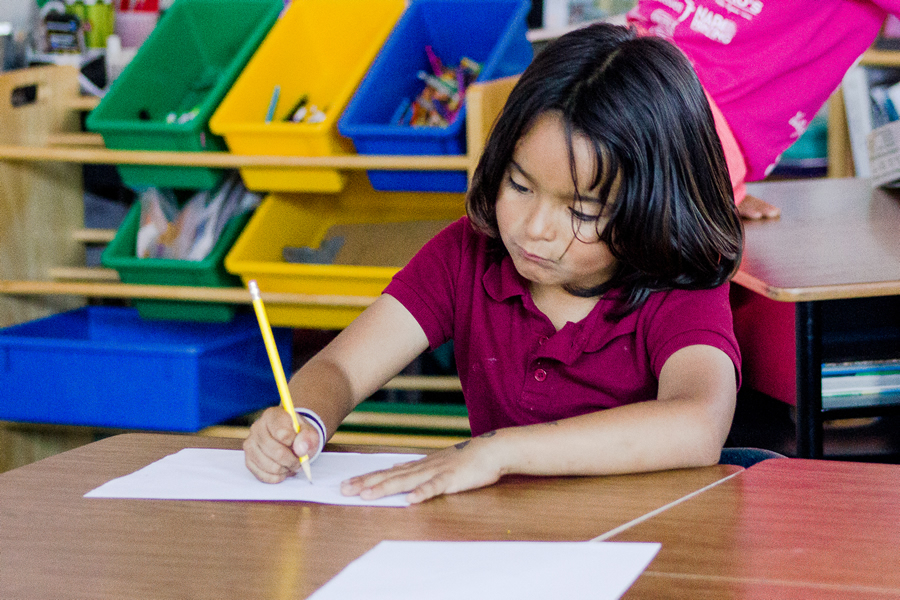 Student doing homework