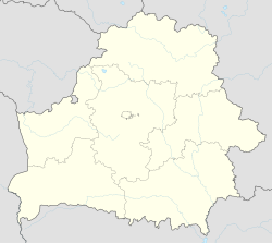 Nesvizh is located in Belarus