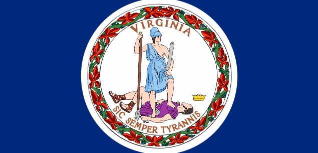 virginia state flag